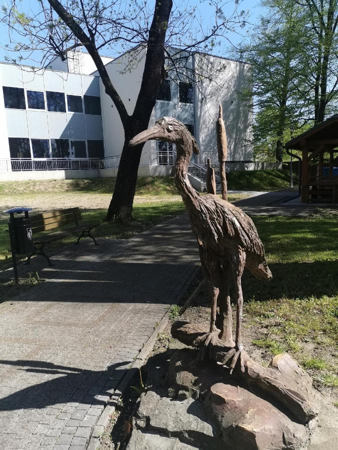 Zielony Zakatek Ciezkowice Eksteriør bilde